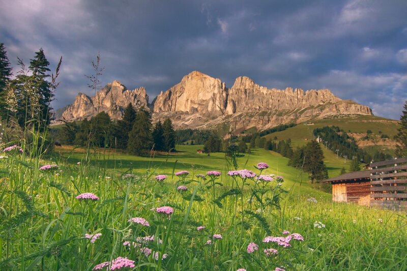 Stage 6 Dolomiti Trek King   Toward Roda De Vael